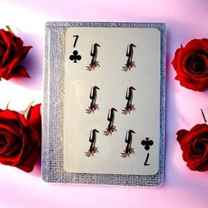 Christian Louboutin 7 of Clubs Poker Playing Card in Protective Case